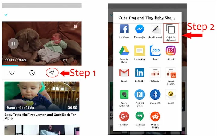 تحميل من ديلي موشن Dailymotion تنزيل مباشر حفظ مقطع فيديو مجاني وسريع