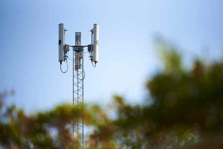النظر من خلال أوراق الشجر في برج 5G مقابل سماء زرقاء.