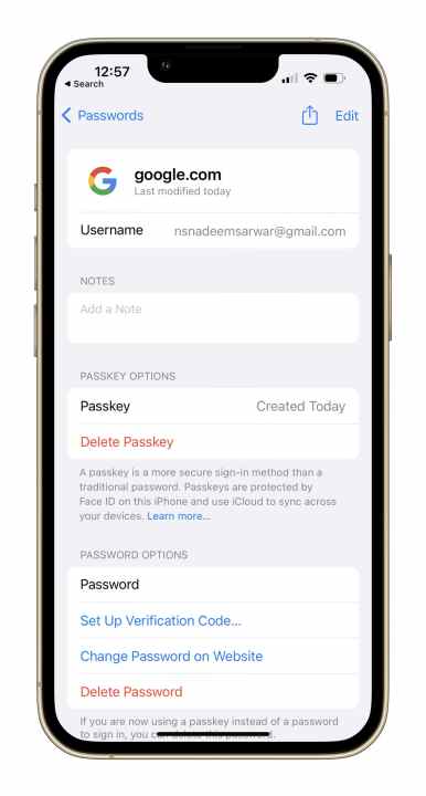 ما هي مفاتيح المرور؟ كيفية استبدال كلمات المرور؟ android iphone 1d59524c a7aa 47ef a2cc 8fa40817f612 iphone13progold Portrait