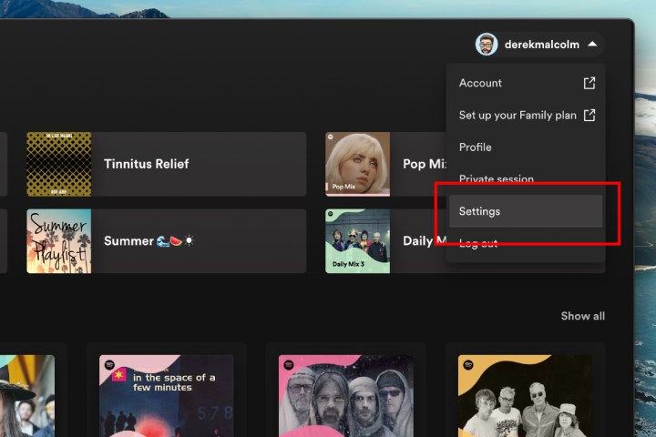   كيفية تنزيل الموسيقى والبودكاست من Spotify: إعدادات سطح المكتب.