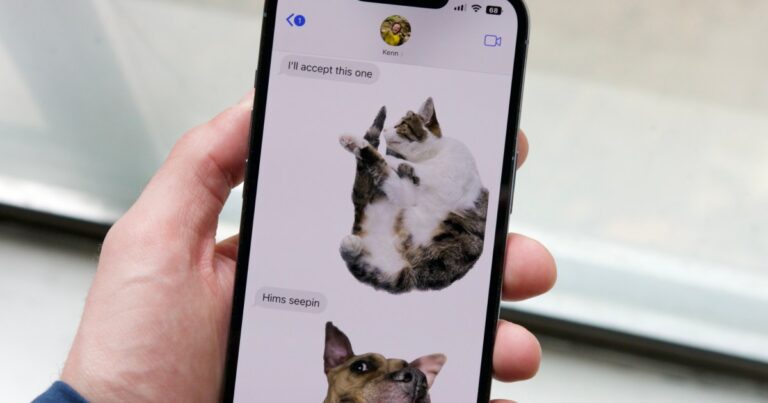 كيفية حظر الرسائل النصية على آيفون وأندرويد