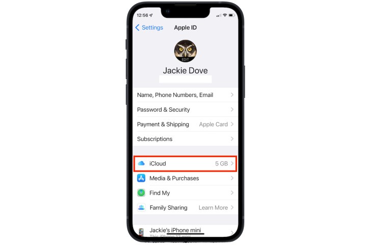 جزء معرف Apple في iOS 15.