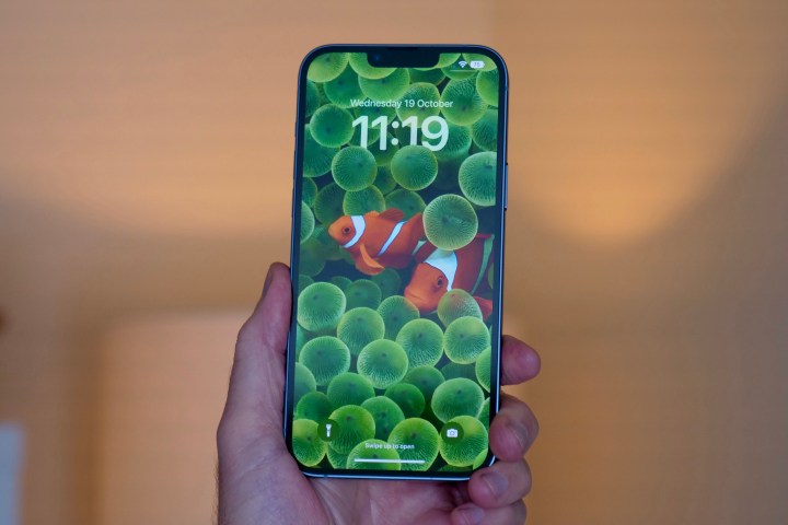 شاشة الآيفون 14 بلس.